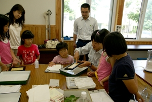 すき方の実演