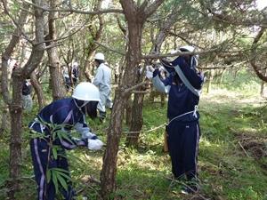 枝落としに挑戦