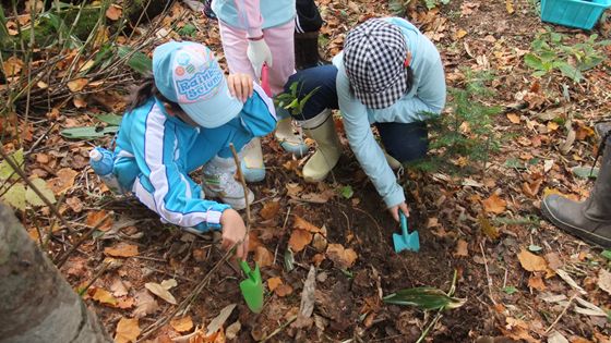 ミズナラの苗木の植樹体験の様子