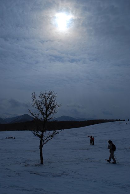 参加者の作品「霞む太陽」