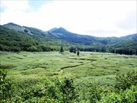大谷地