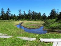 大蛇が原湿原