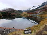 大学沼