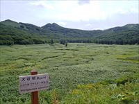 大谷地
