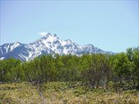 利尻山