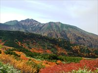 富良野岳