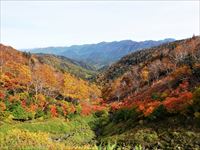 支湧別山を望む