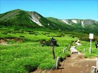 緑岳