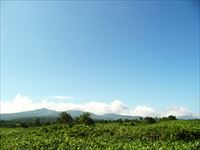 暑寒別岳