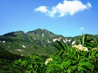 富良野岳