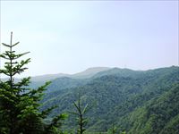 余市岳子天狗岳天狗岳無意根山