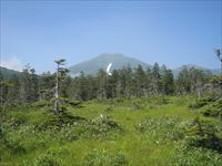 富良野岳