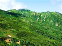 富良野岳
