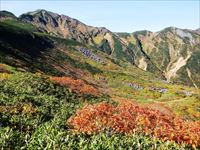 富良野岳