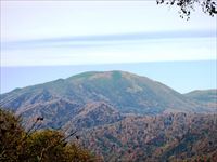 無意根山
