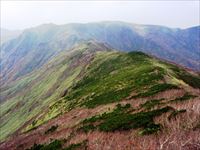 狩場山茂津多コース