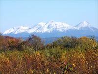 雌阿寒岳阿寒富士