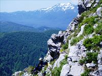 狩場山