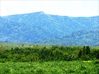 北稜岳
