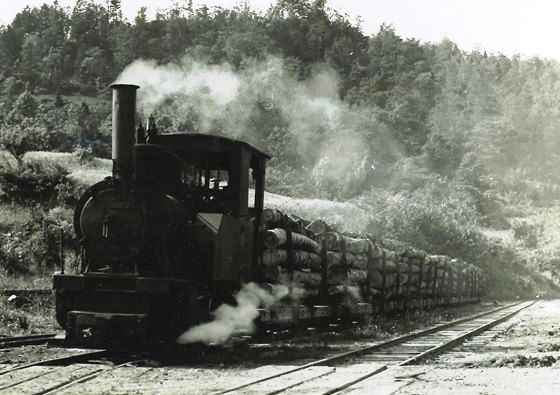 バトンならぬ木材を引きついで下る、じよう汽機関車