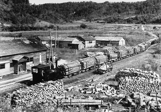 アメリカ開拓桂澤版。左方は伐木事務所