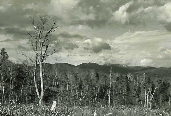 補償路の望湖台より、盤の澤盆地を望む