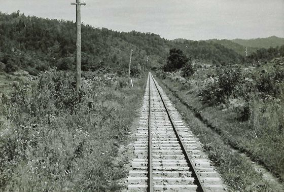 珍しい直線コース 9、500米附近