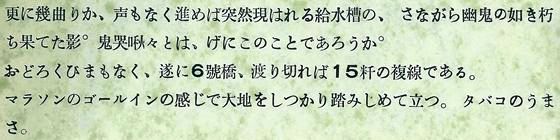 さらにいく曲がりか、声もなく進めば突然現れる旧水槽のさながら幽鬼の如き朽ち果てた