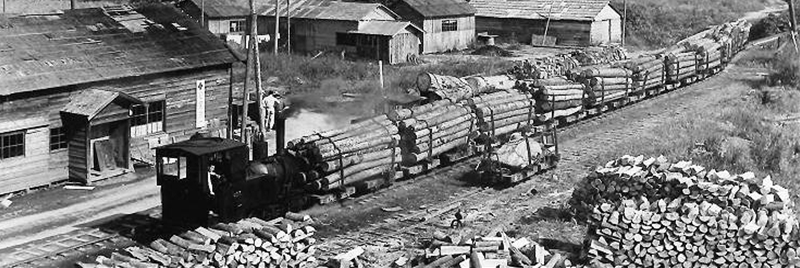 木材を運ぶ森林鉄道