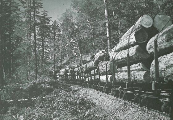 木材の上に夜具を載せて、上・下山した。