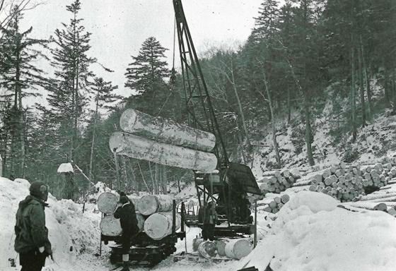 軌道クレーンによる積込作業。 人力に代わり、労働の軽減を図る