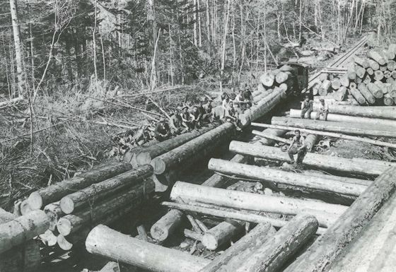 軍用材の運材  34号事業所土場 （昭和17年）