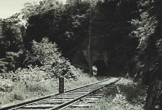 鉄道唯一の墜道