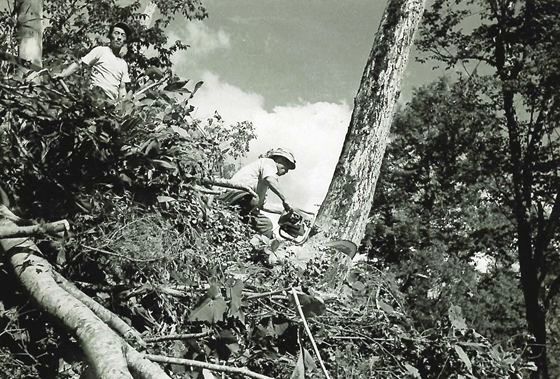 山の男達のなつかしい顔