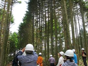 列状間伐の写真を撮る参加者