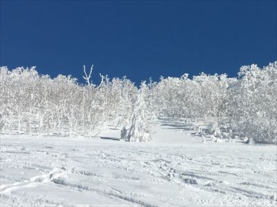 国設ピヤシリスキー場九度山頂上付近の樹氷の拡大