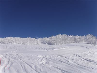 国設ピヤシリスキー場九度山頂上付近の樹氷