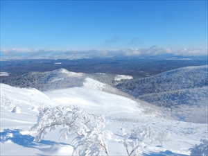 雪一面の斜面