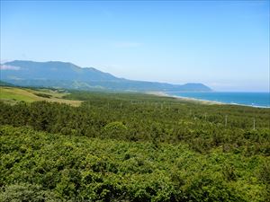 えりも海岸林