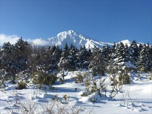 雄忠志内（おちゅうしない）より（利尻富士町鴛泊）