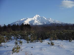 大磯より（利尻富士町鴛泊）