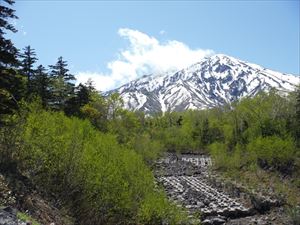 砂防ダムと新緑と利尻山（利尻富士町雄忠志内）