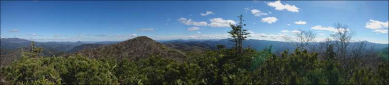 大分水点から見た三国山の山頂