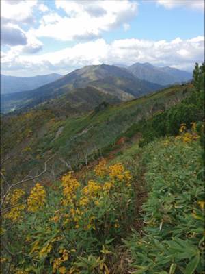 大分水点から三国山へ