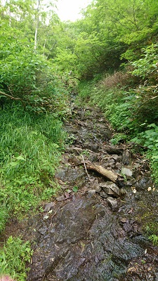 尻餅沢