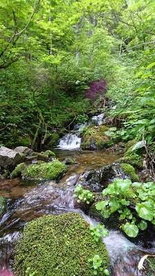 水墨画を思わせる景色