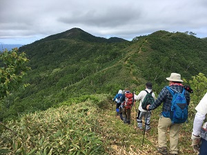 稜線のササ刈払整備された登山道を空中散歩♪