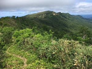 登山道（左）とピッシリ山山頂（中央）