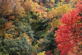 無名？の滝