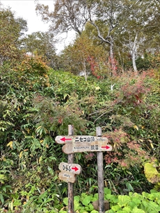 登山道看板